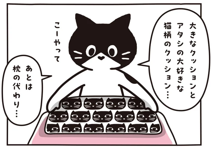 枕の代わりになったのは？猫のお昼寝に欠かせないアイテムたち／マルとオレオ ふたりはなかよし（10）