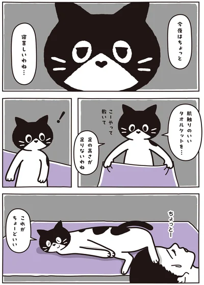 これがちょーどいい
