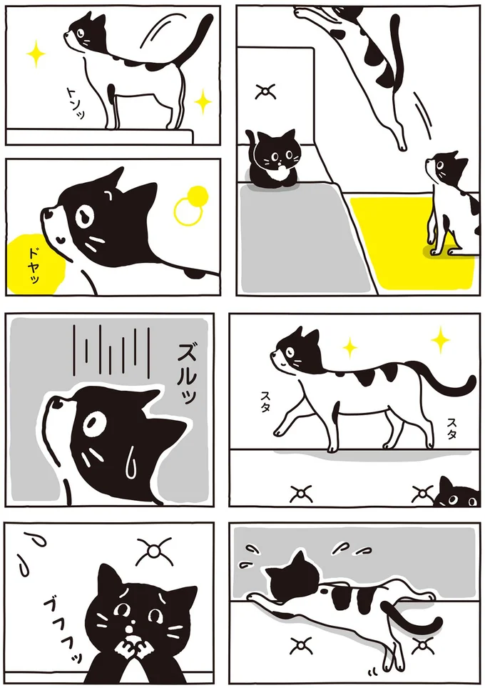 ドヤッ