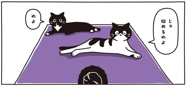 身体の柔らかさはプロ級？毎朝ヨガをするおかあさんと白黒猫ツインズ／マルとオレオ ふたりはなかよし（11）