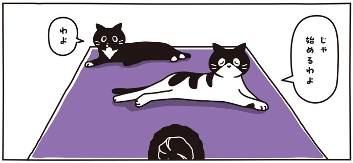 身体の柔らかさはプロ級？毎朝ヨガをするおかあさんと白黒猫ツインズ／マルとオレオ ふたりはなかよし（11）