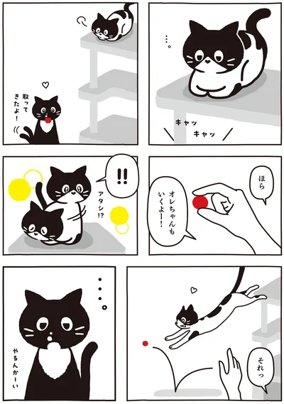 やるんかーい