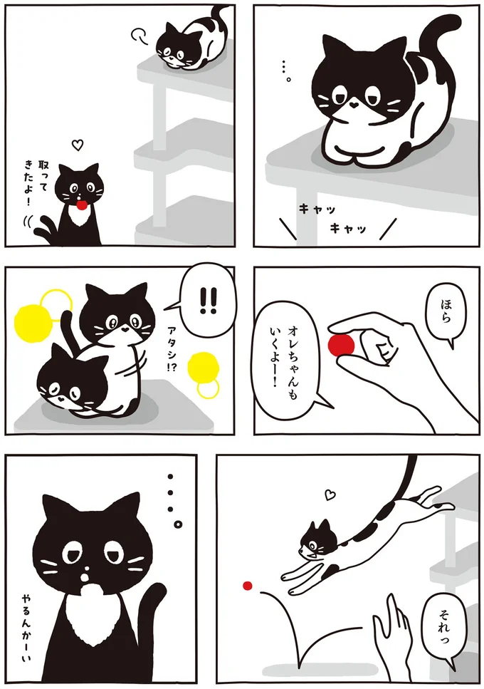 やるんかーい