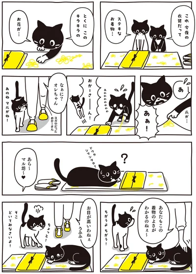 ステキなお着物…