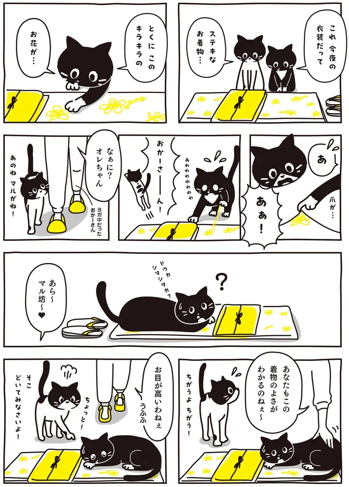 ステキなお着物…
