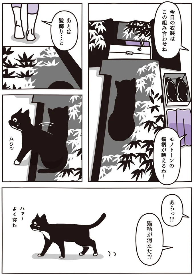 猫柄が消えた！？