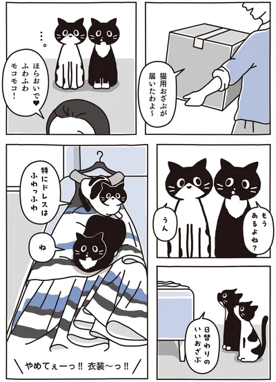 日替わりのいいおざぶ