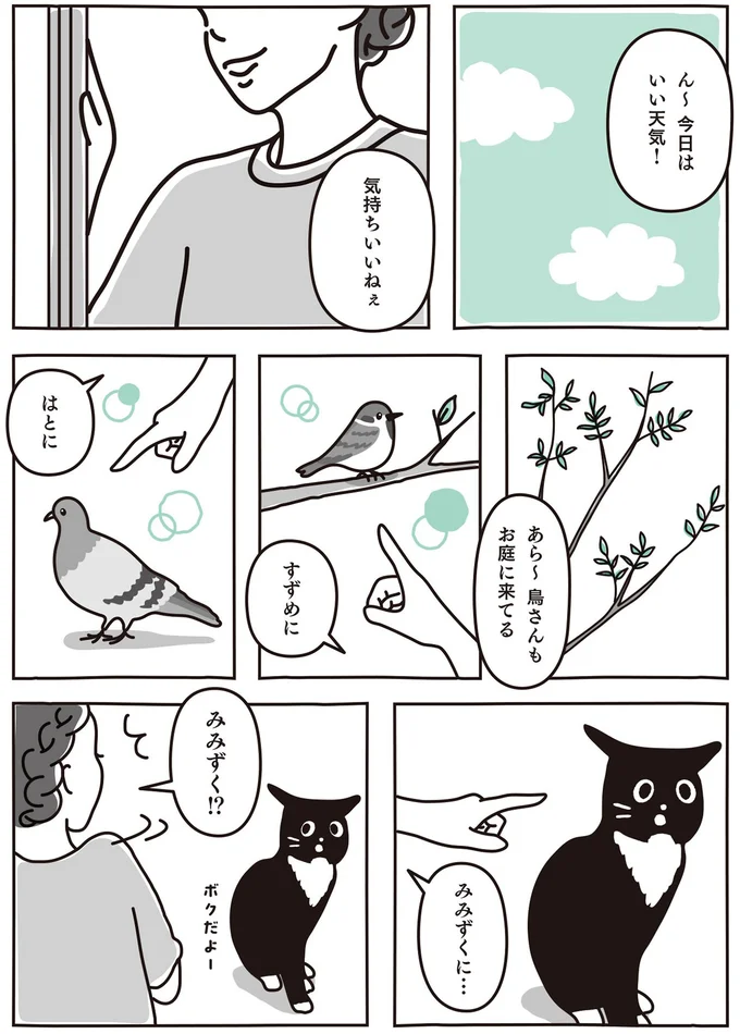 みみずく！？