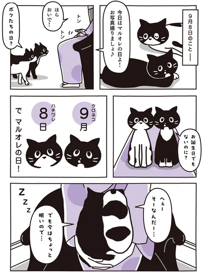 今日はマルオレの日よ！