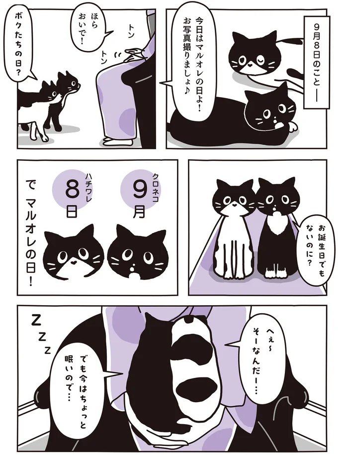 今日はマルオレの日よ！