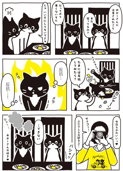 たまには反抗してみたら？