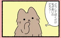 【みにくいアヒルの子なねこ】ねこにはよくあること？ 自分だけ少しちがうねこの悩み