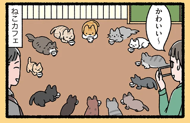 【円卓の騎士なねこ】その姿、まさに円卓の騎士!? ねこたちが集まったときの話／ねこむかしばなし（10）