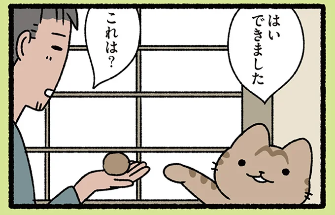 これは？