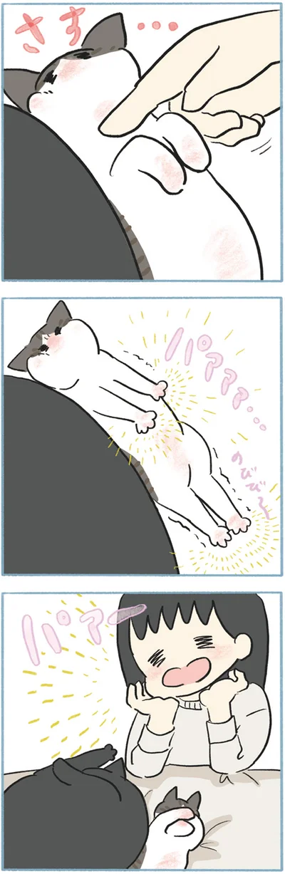 『くろもとぽんず　～うちの猫がかわいすぎる！～』より