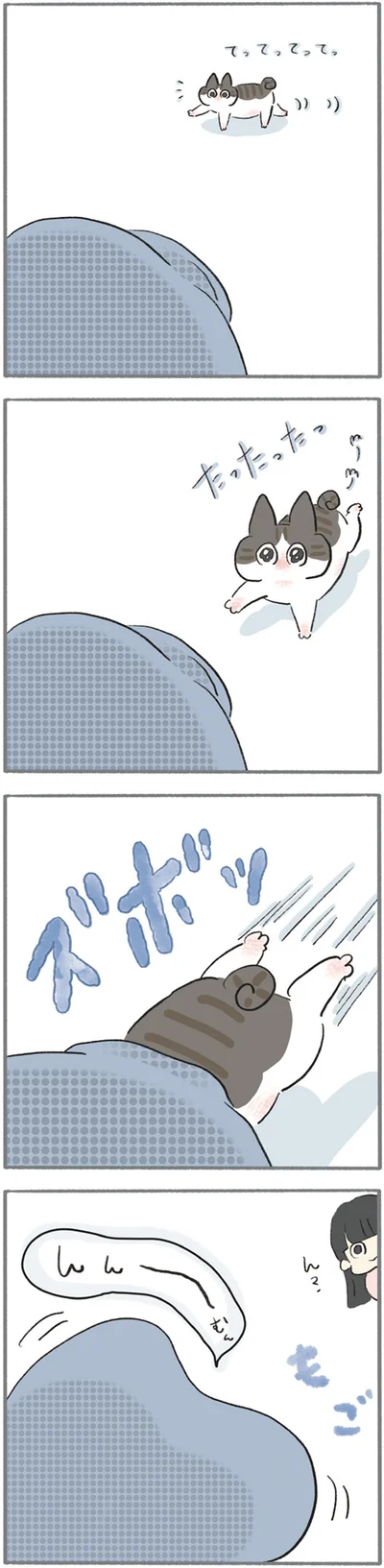 『くろもとぽんず　～うちの猫がかわいすぎる！～』より