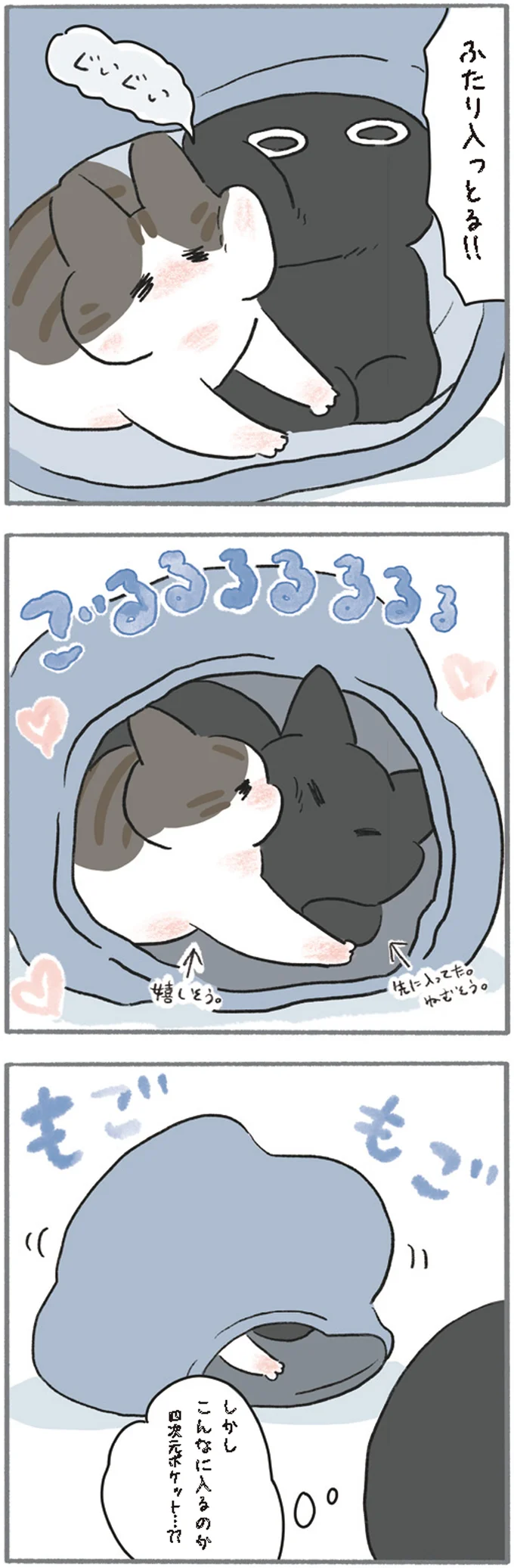 『くろもとぽんず　～うちの猫がかわいすぎる！～』より
