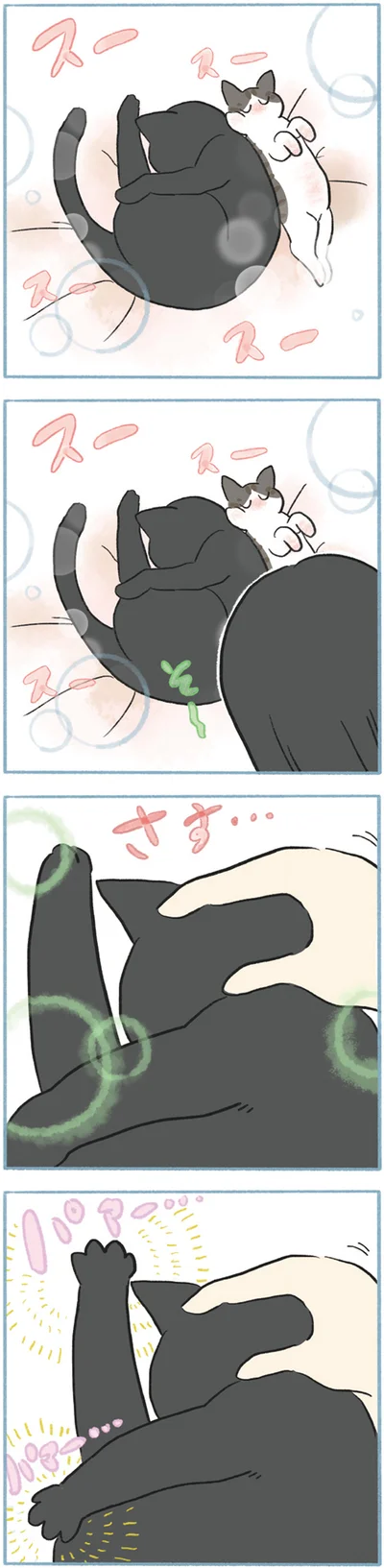 パァー…