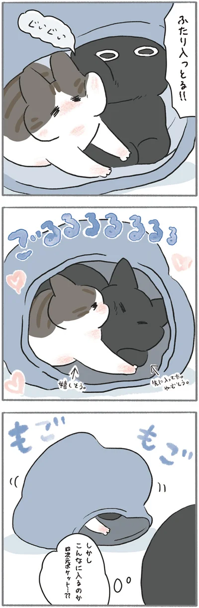 ふたり入っとる！！