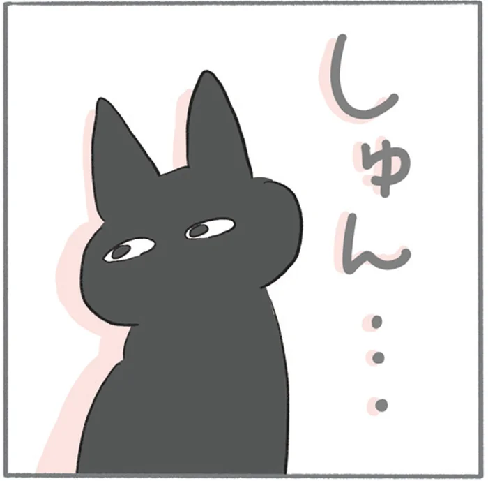 本当は僕が遊びたいけど。弟猫とおもちゃをめぐるお兄にゃんの苦悩／くろもとぽんず（5）