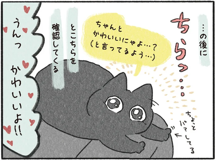 膝上にのってからのチラ見。あざとかわいいにゃんこ!?／くろもとぽんず（7）