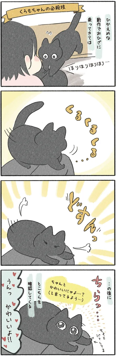 くろもちゃんの必殺技