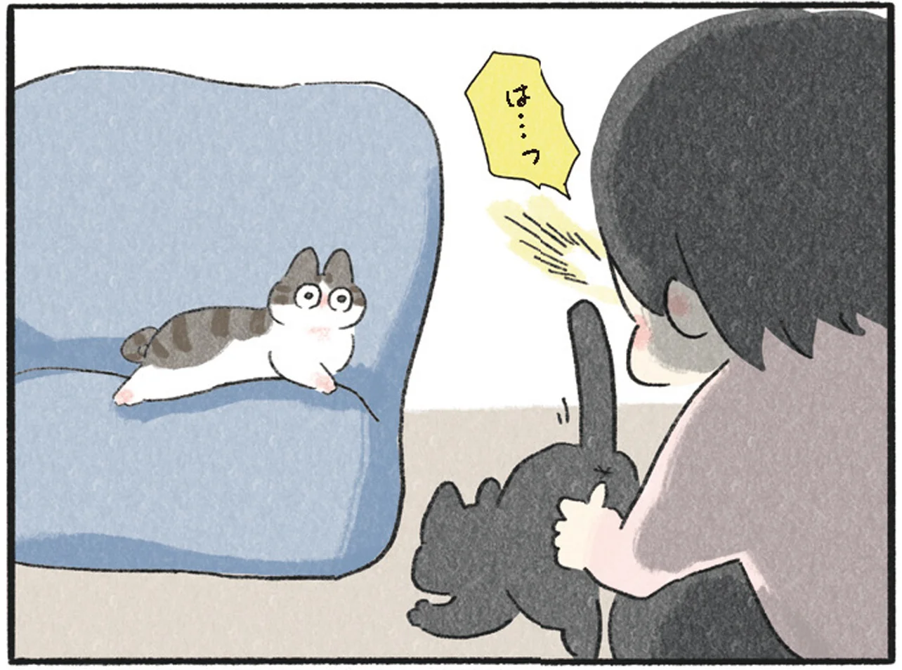 わっしゃわしゃと兄猫を全力でなでなでしていたら。現場を目撃した弟猫