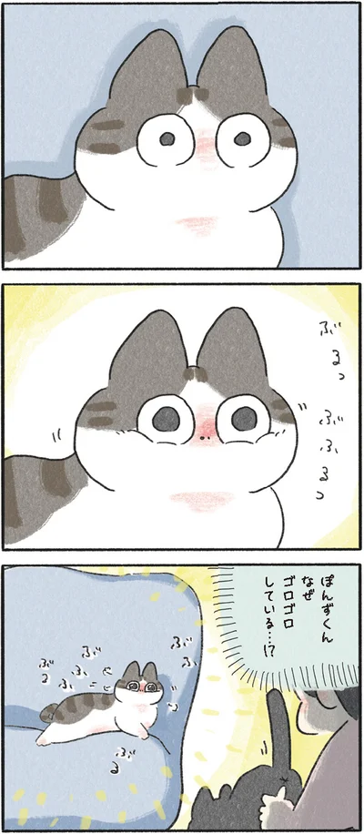 なぜゴロゴロしている…！？
