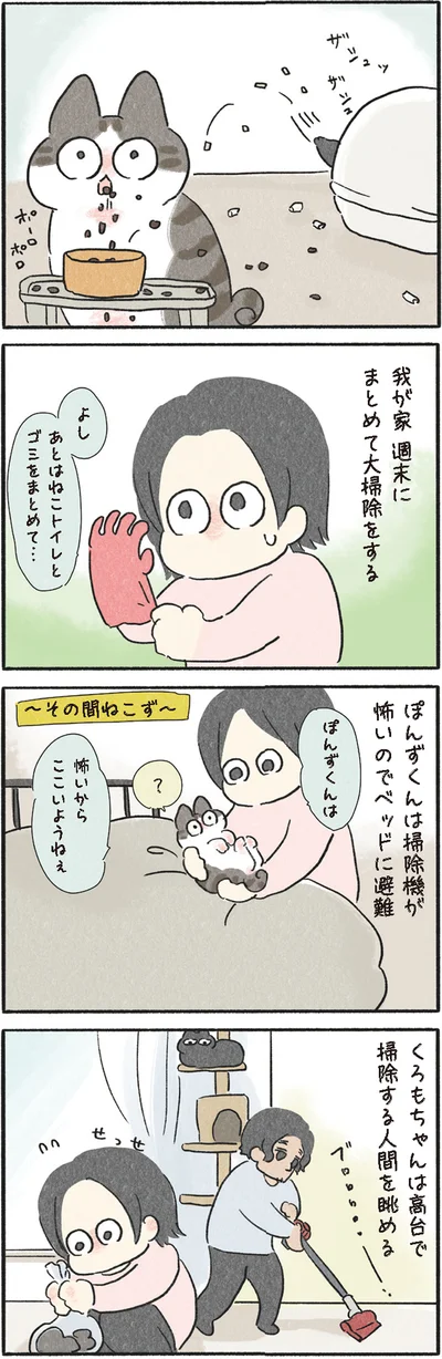週末にまとめて大掃除をする