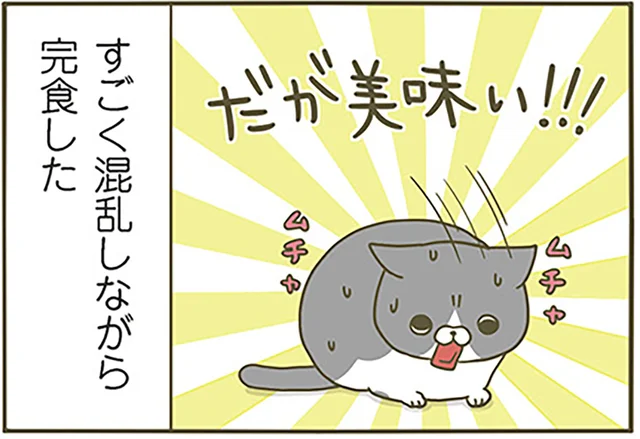 気持ち悪い、だがウマい!? 混乱しながらマグロを食べる猫／うちの猫がまた変なことしてる。（7）
