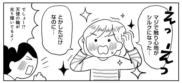 とかすだけでシルクの手触り！ 2万円超えの高級ブラシが忘れられなくて／めんどくさがりやの自分の機嫌を取る暮らし（2）