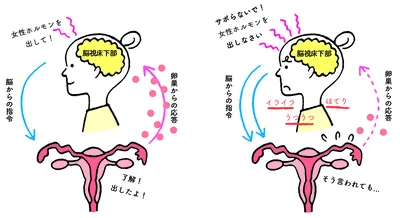 脳がコントロールを失うと、自律神経の調節も上手くできなくなり、様々な不調を招くことにも繋がる