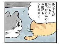 「お前にも少しやるよ」親切な先輩猫から、ありがた迷惑なおすそ分け