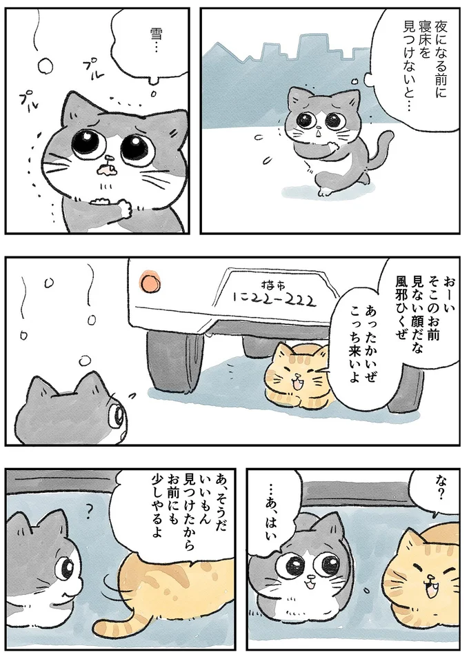見ない顔だな