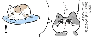 実家の猫はどうしてたかな…