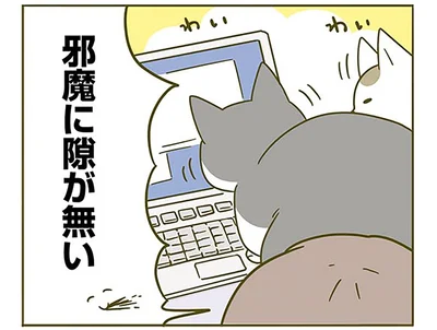 邪魔に隙が無い