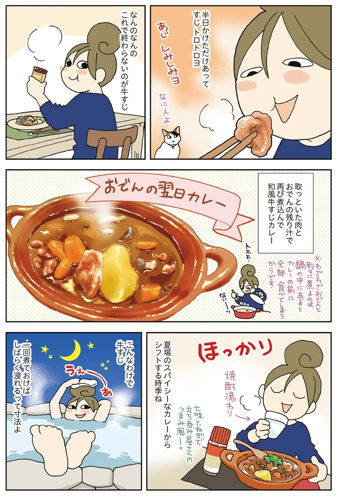 おでんの翌日カレー