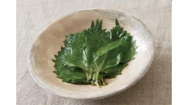 風味の良さを存分に楽しむ、超簡単な「大葉の醤油漬け」【JA全農広報部さんに聞いたおいしい野菜の食べ方】（3）
