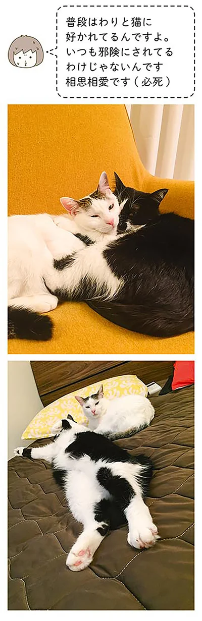 普段は好かれているんです
