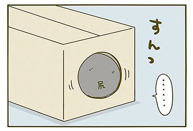 どハマりするダンボール箱