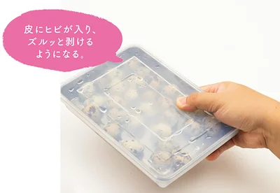 皮にヒビが入り、ズルッと剥ける