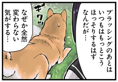 なぜか全然変わらない気がする…