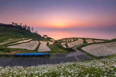 写真：白米千枚田（石川県）