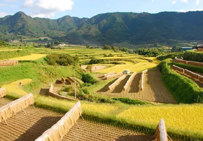 写真：高千穂郷・椎葉山（宮崎県）