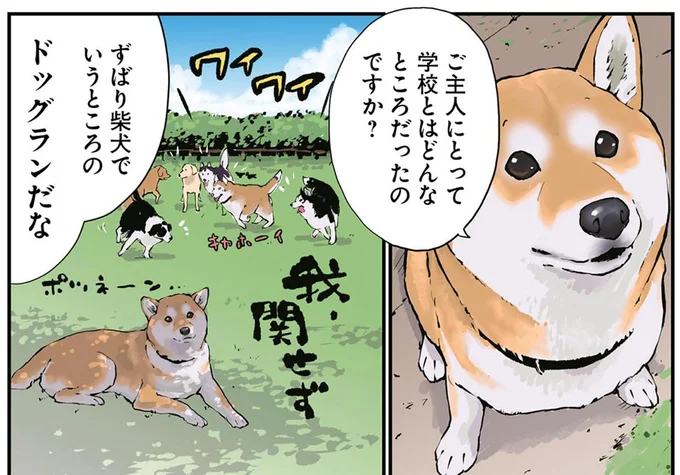 柴犬でいうところのドッグランだな