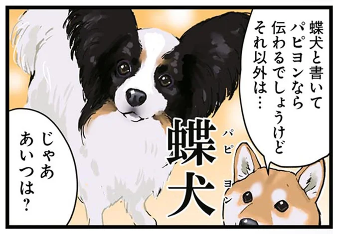 蝶犬と書いてパピヨンなら通じるでしょうけど　それ以外は…