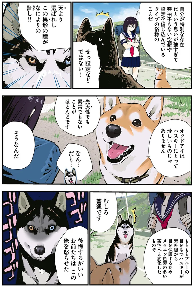 むしろ普通です