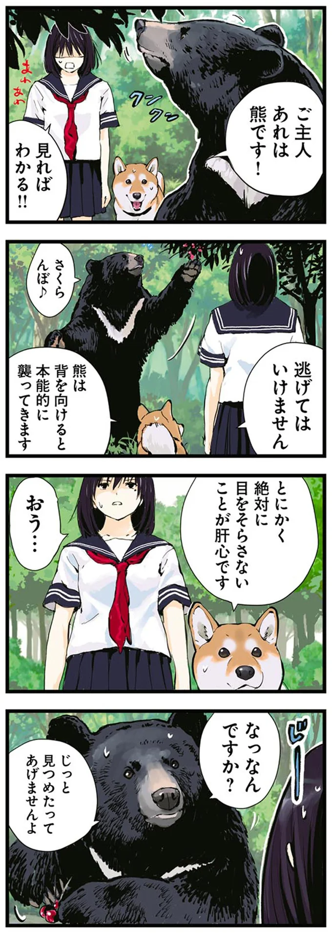 絶対に目をそらさないことが肝心です