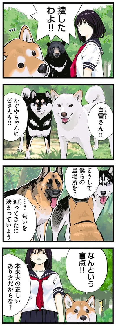 本来犬の正しいあり方だからな？