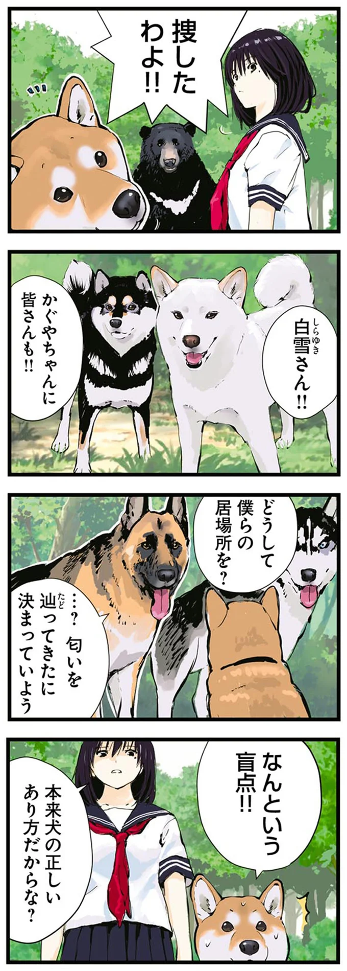 本来犬の正しいあり方だからな?
